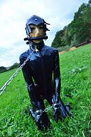 Rubber Puppy