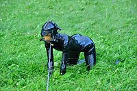 Rubber Puppy