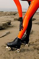 Skates on the beach