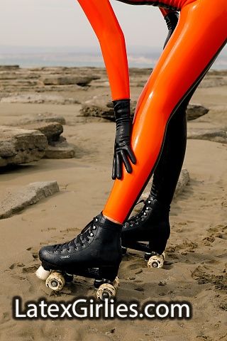 Skates on the beach