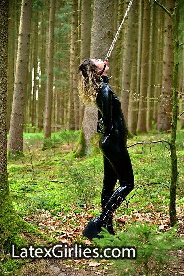 The rope in the forest