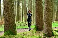 The rope in the forest